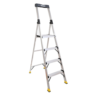 Bailey Retail and Office Platform Ladder