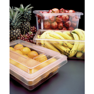 Rubbermaid Food/Tote  Boxes